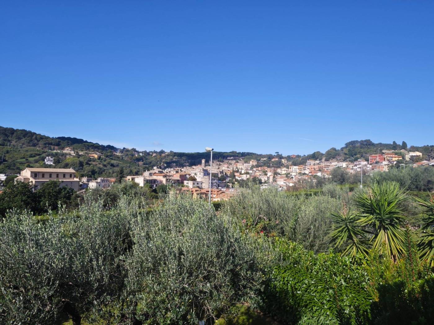 Vista