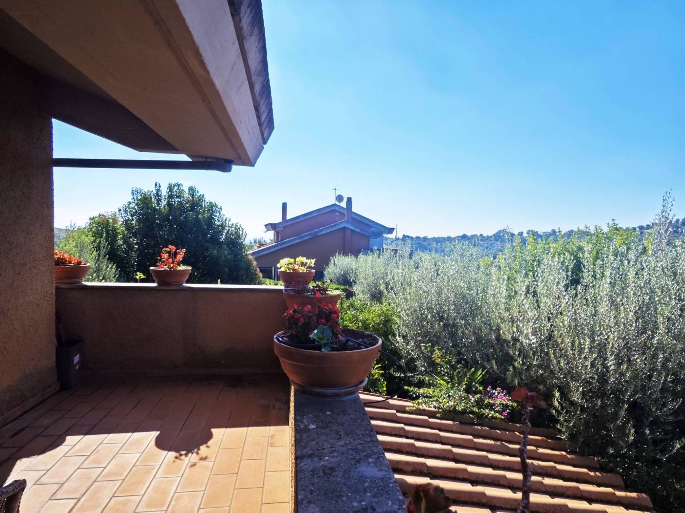 Terrazzo