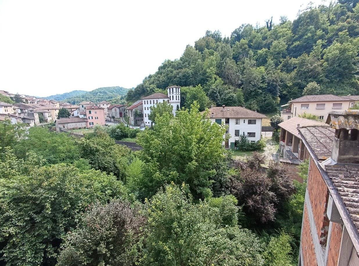 Vista