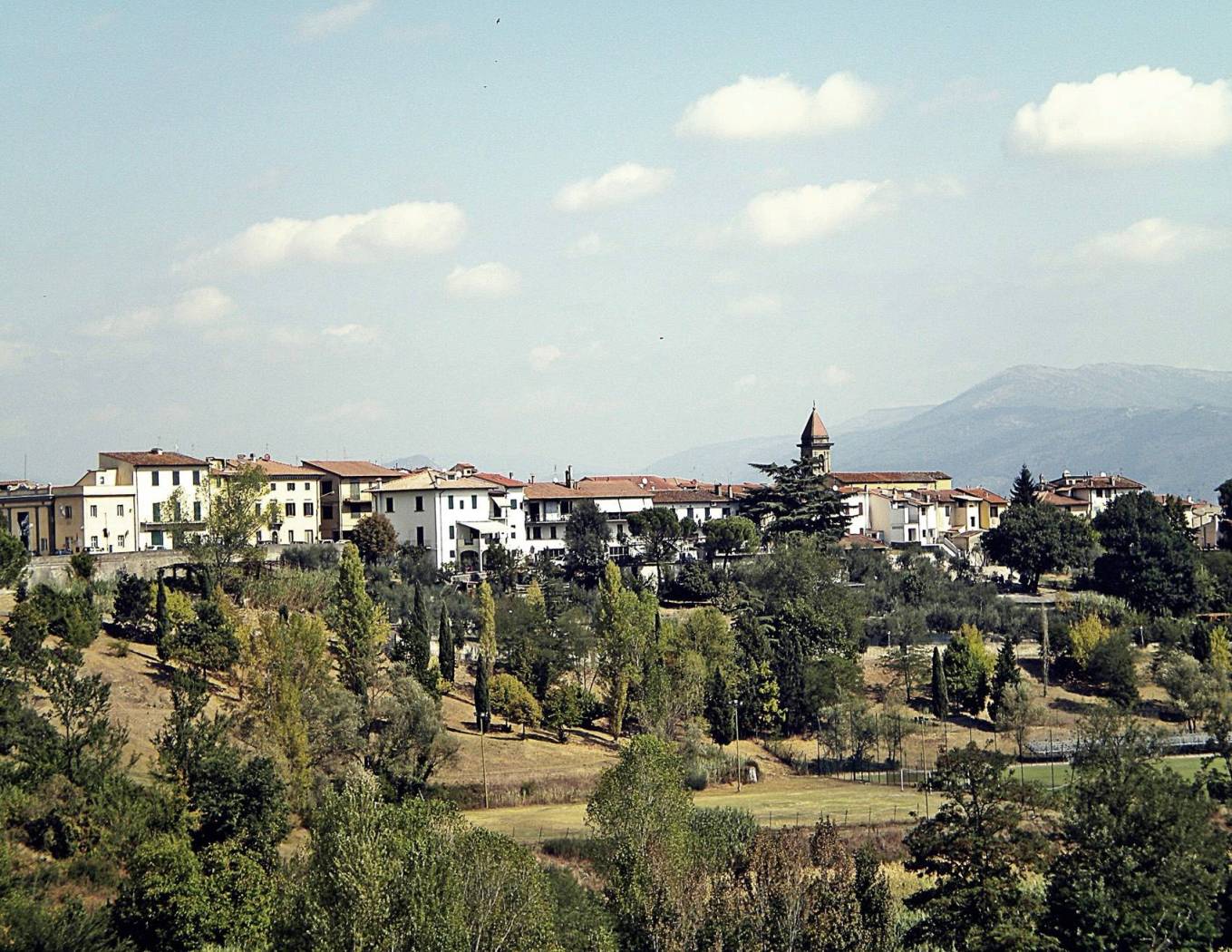 Vista