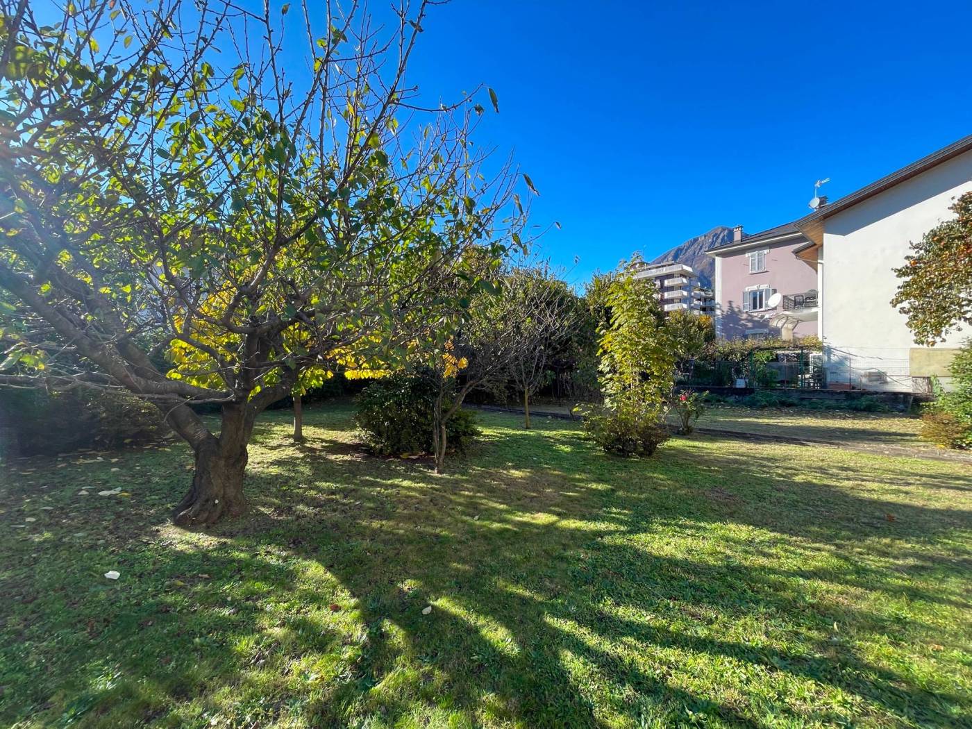 Giardino