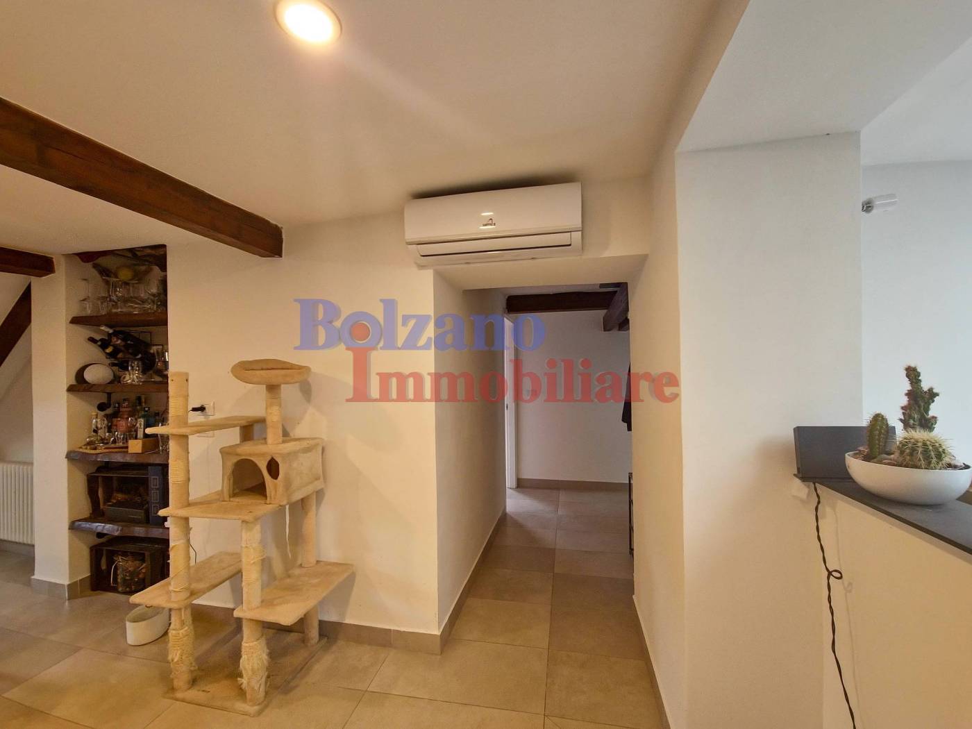 Disimpegno Disimpegno