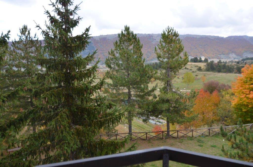 Vista