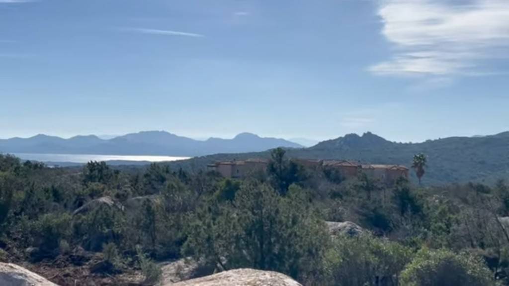Vista