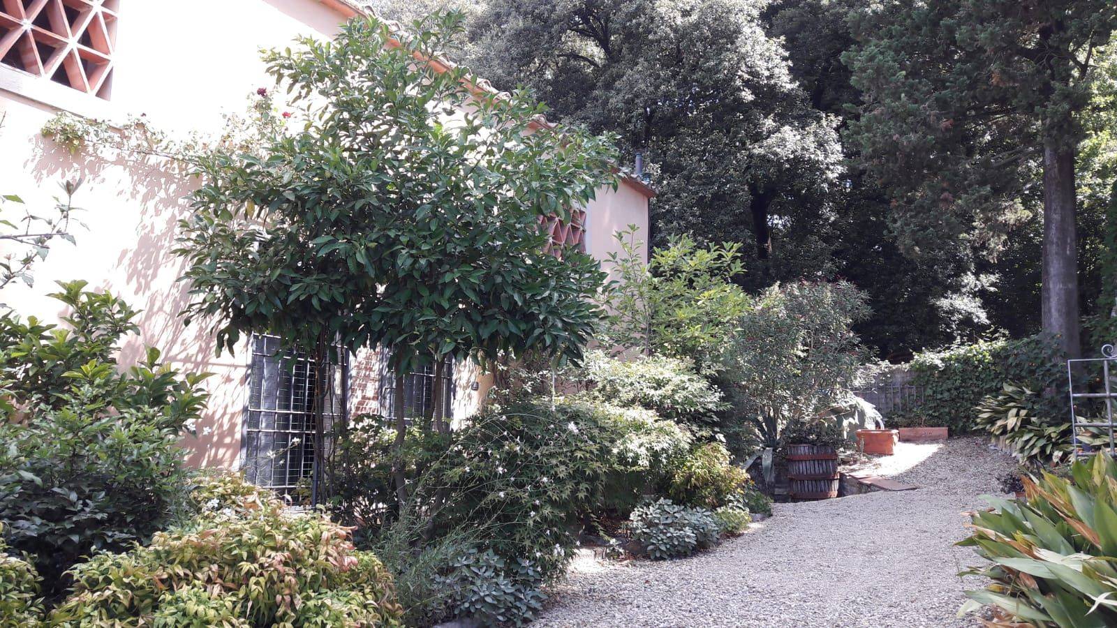Giardino