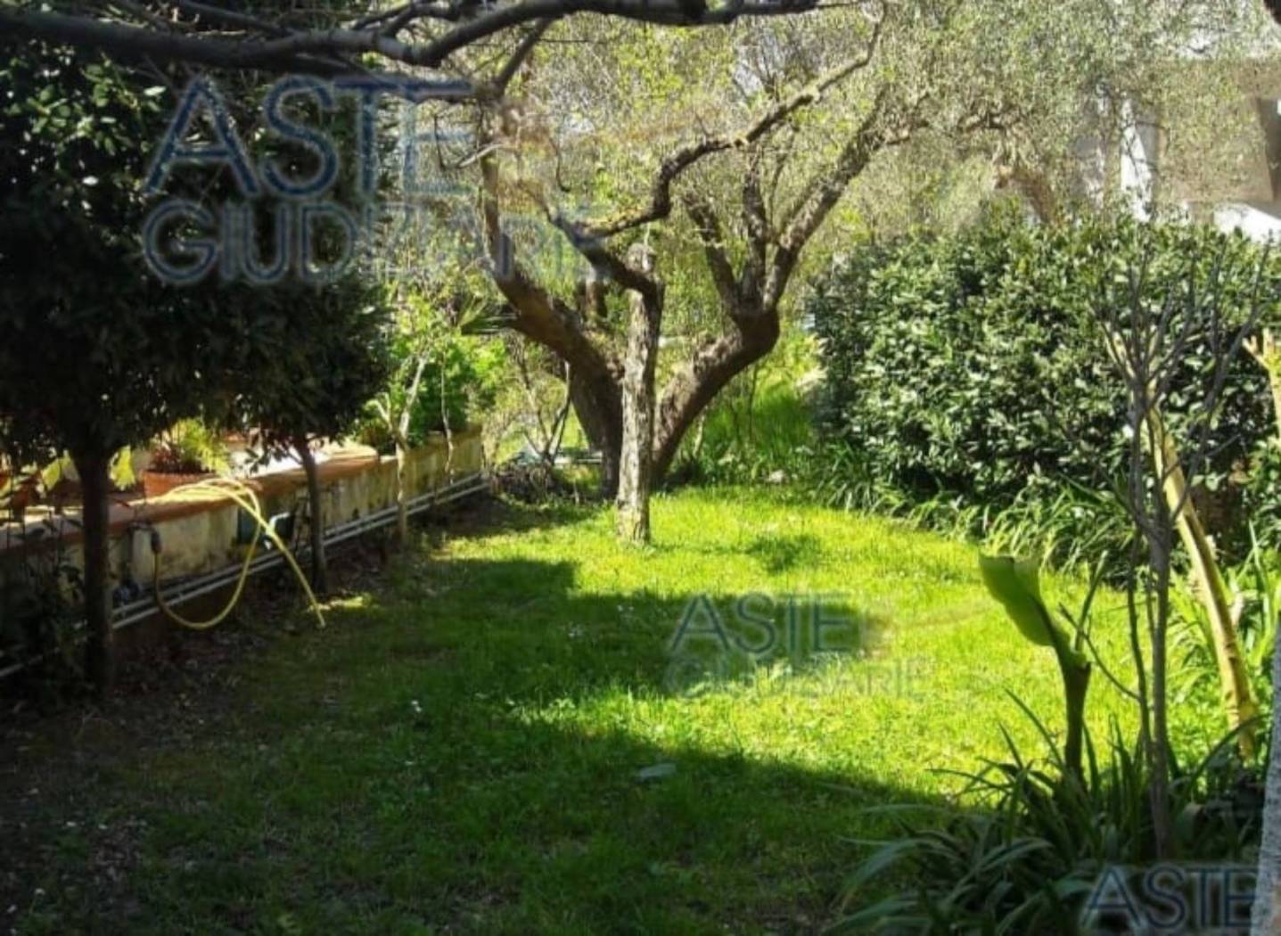 Giardino Giardino