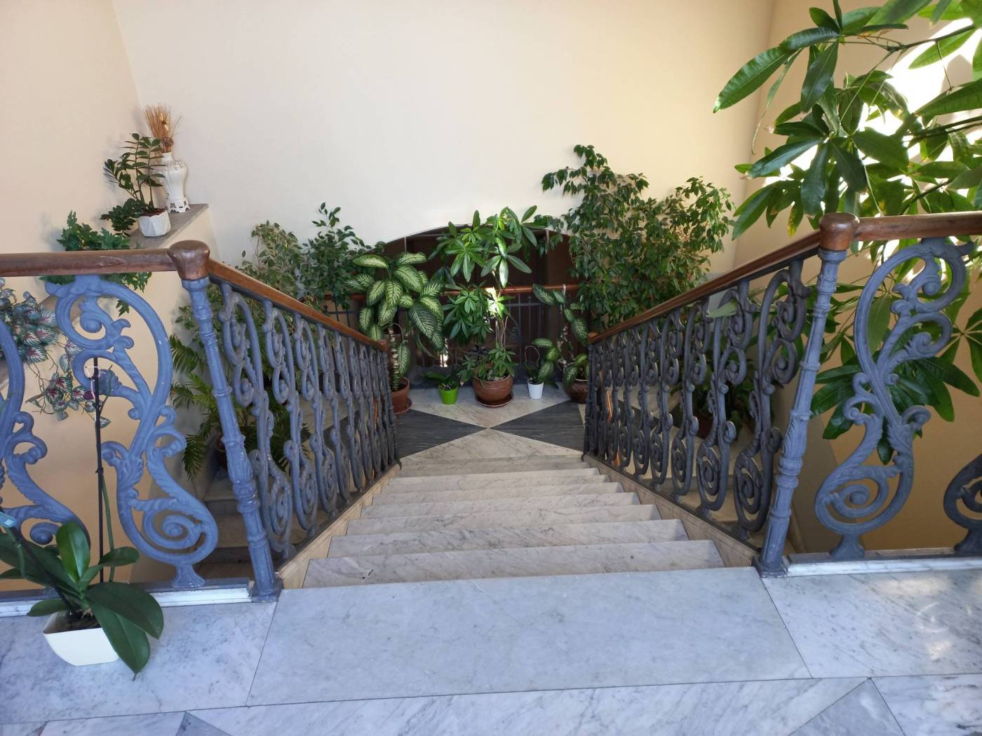 Interno palazzo Interno palazzo