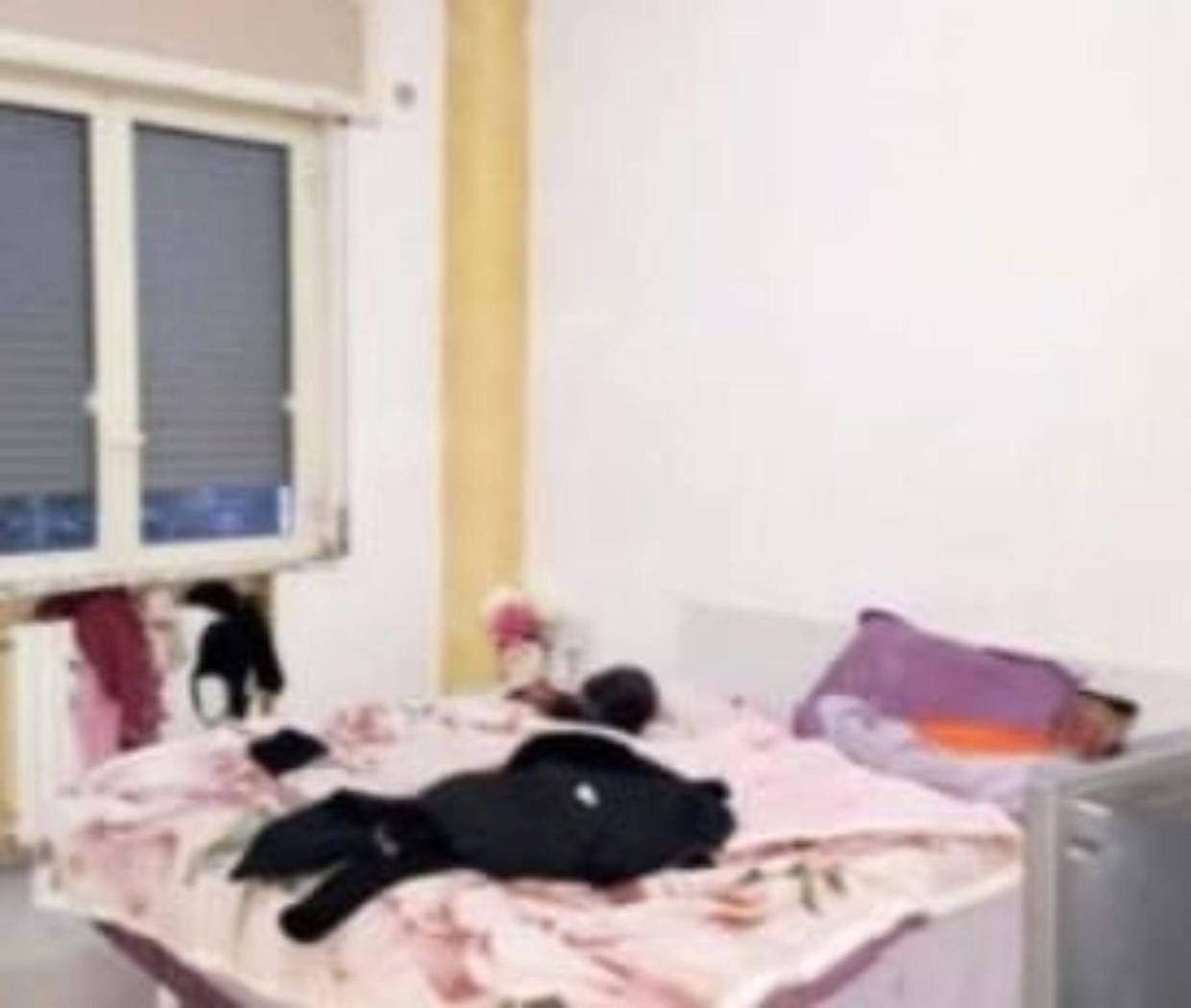 Camera da letto Camera da letto