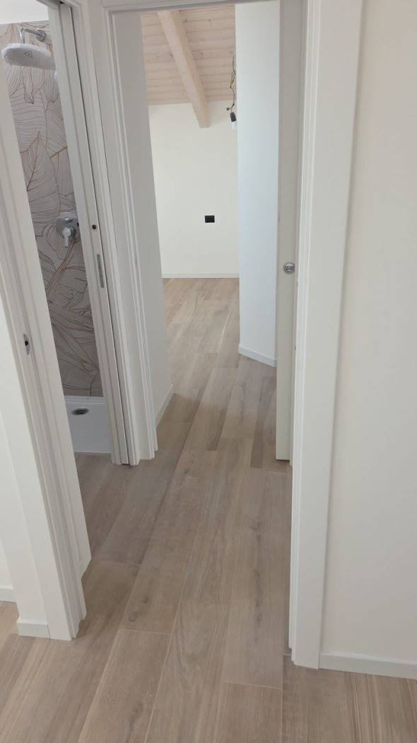 Disimpegno Disimpegno