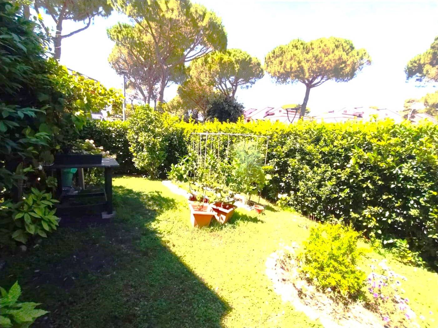 Giardino