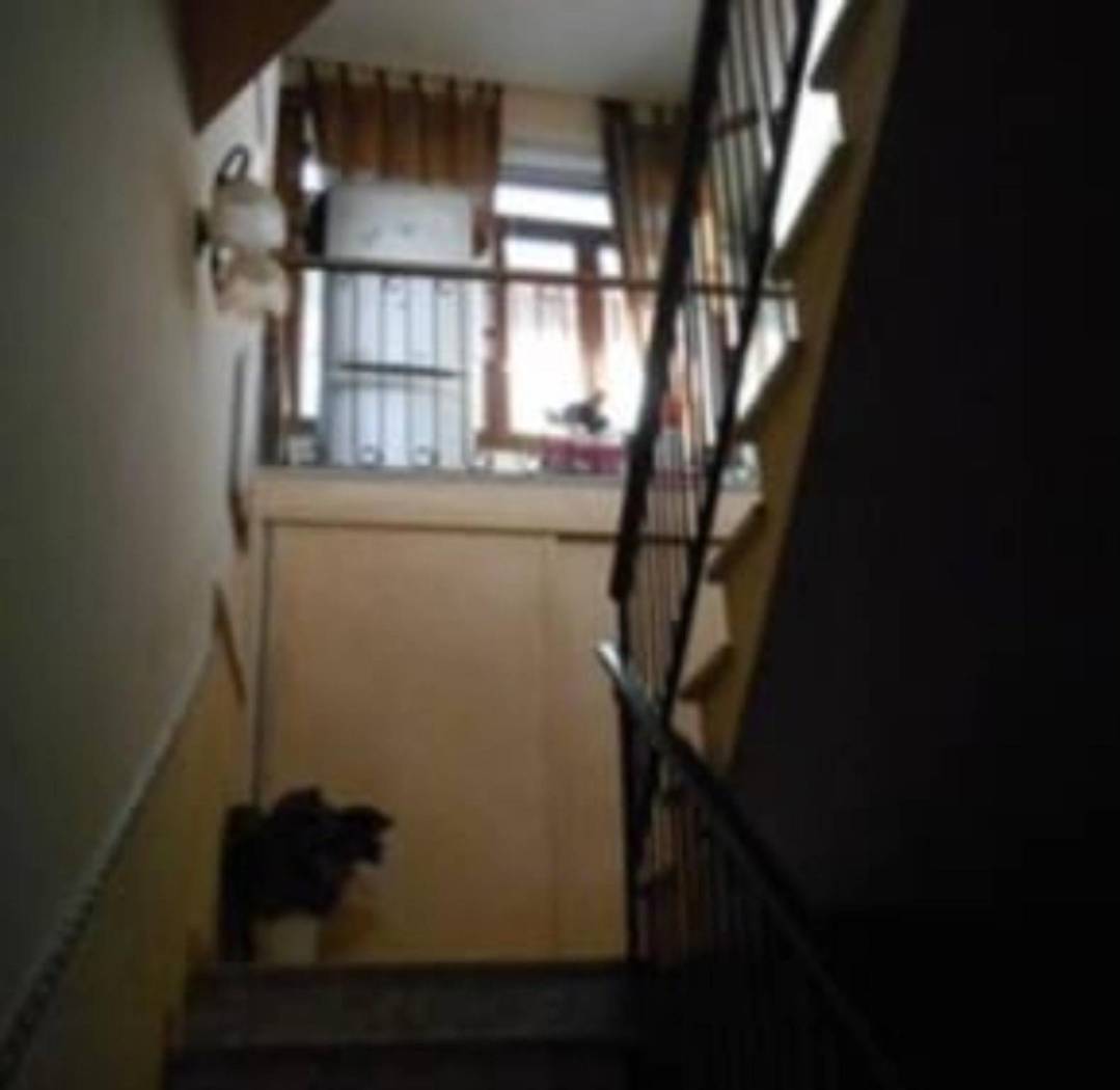 Interno palazzo Interno palazzo