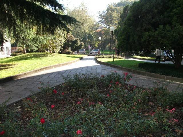 Giardino