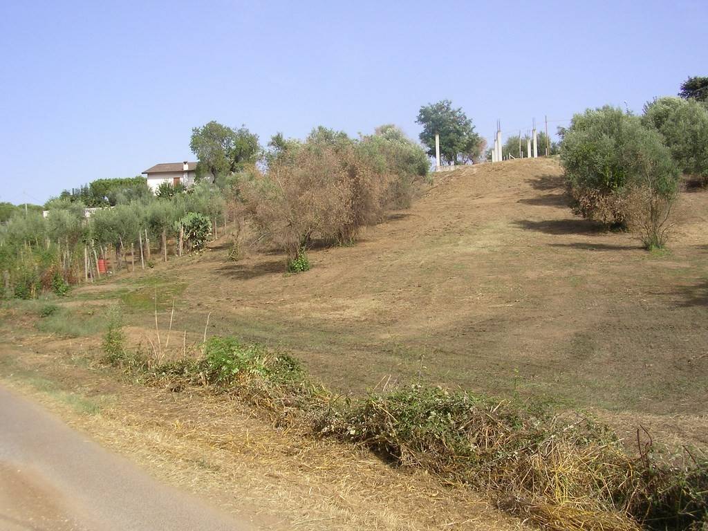 Terreno