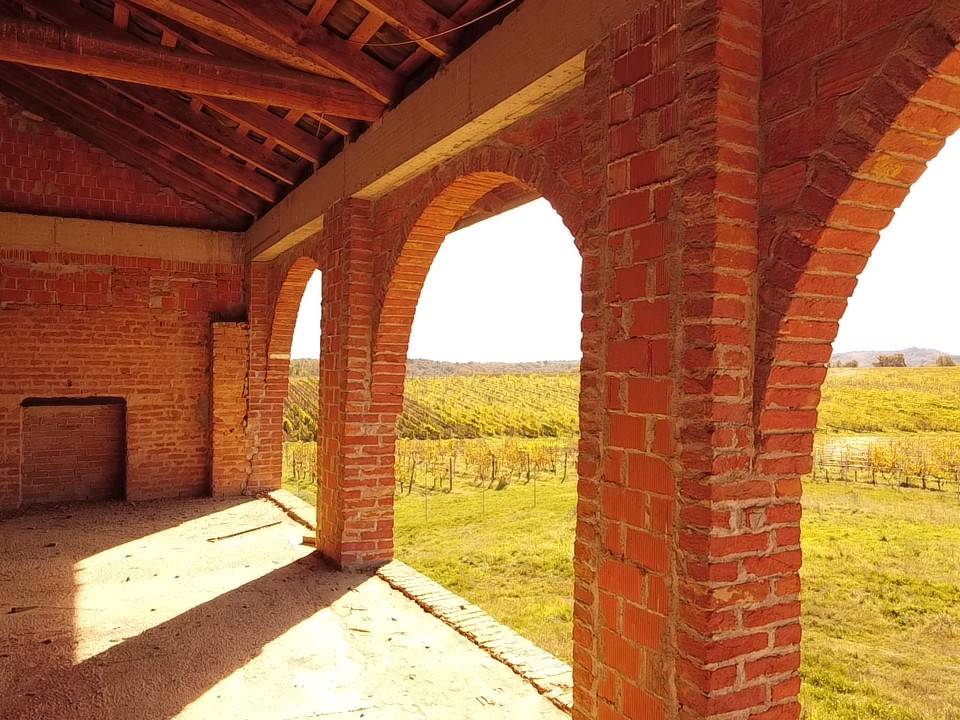 Disimpegno Disimpegno