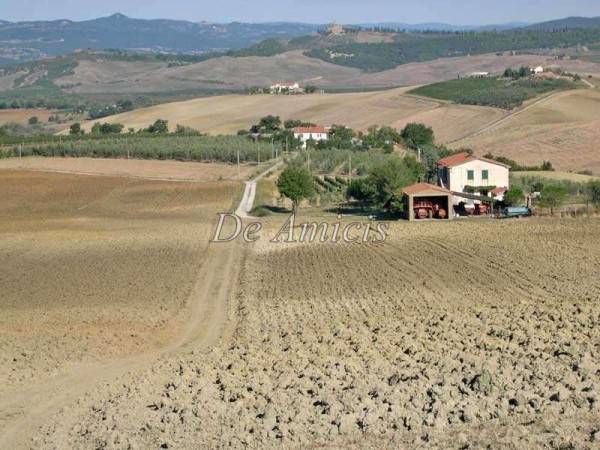 azienda agricola