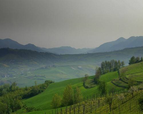 COLLINE VAL CURONE COLLINE VAL CURONE