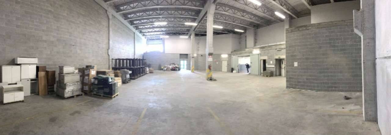 IMG_1038 (800x276) (800x276)