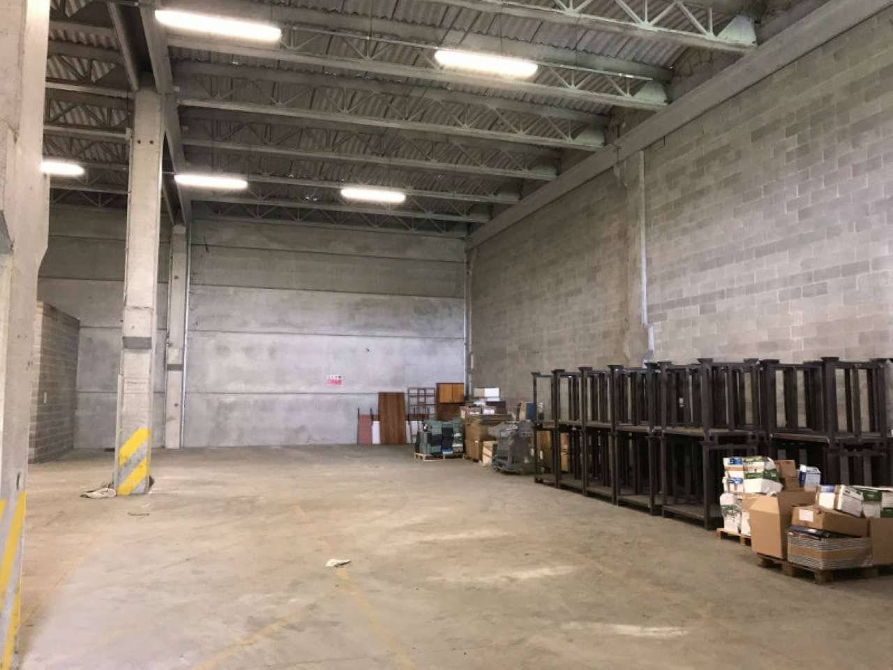 IMG_1040 (800x600) (800x600)