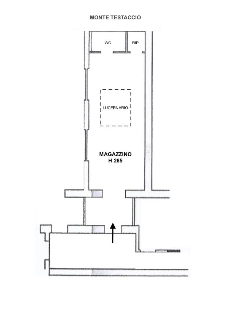 palnimetria