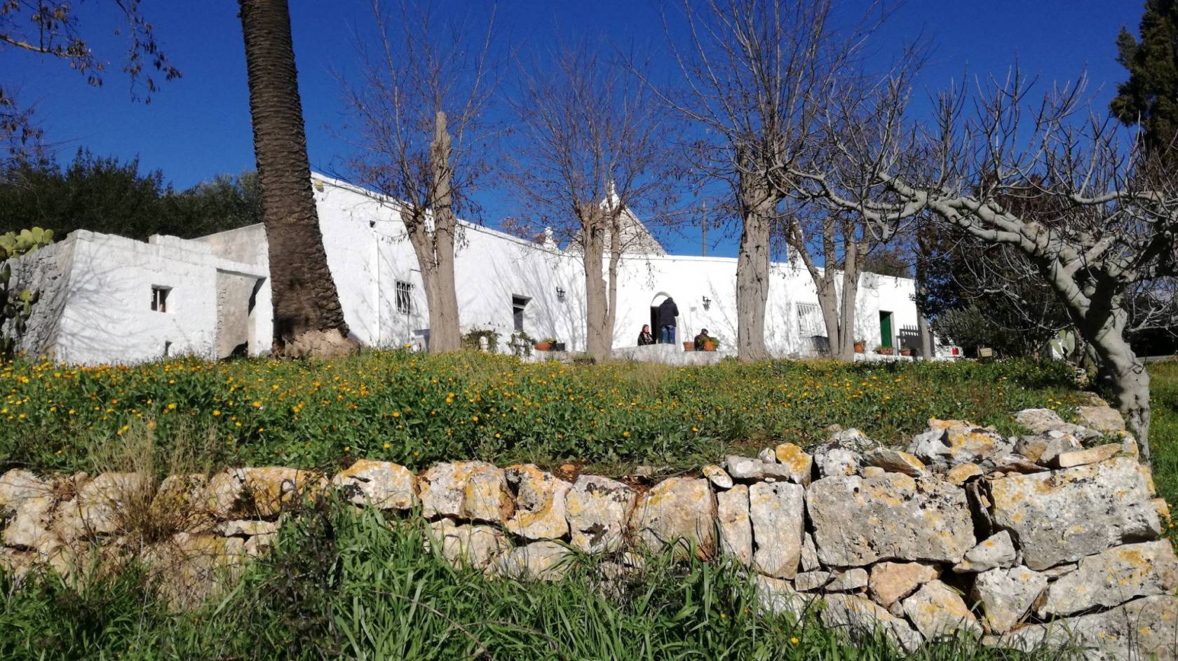 Trulli e Lamie in vendita a Ceglie Messapica Virgilio Casa è orgogliosa di proporre in vendita un suggestivo complesso di trulli e lamie situato a 