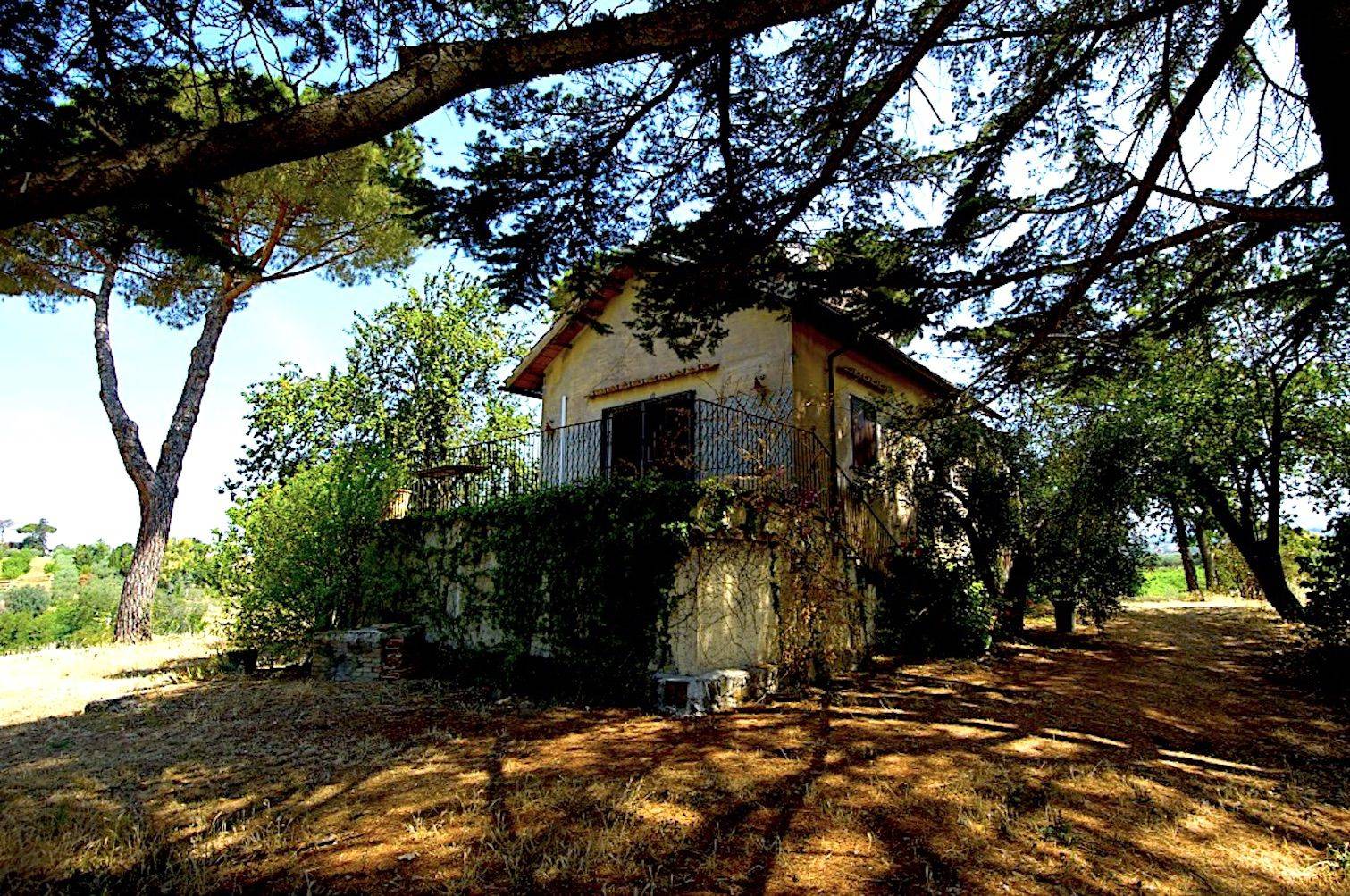 Terreno