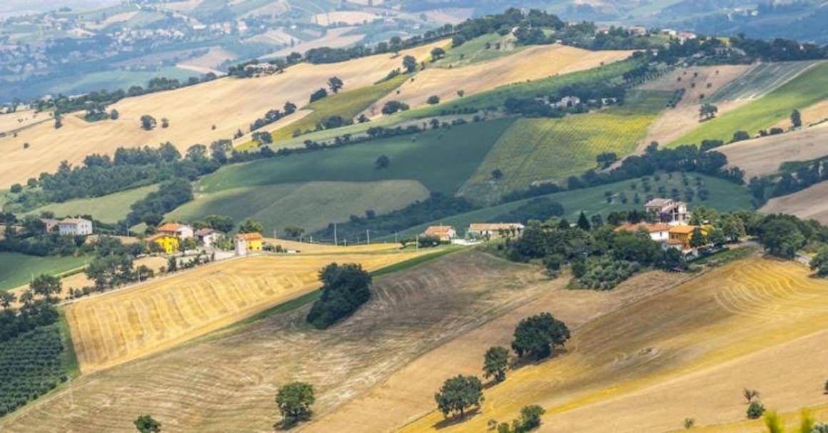 Vista