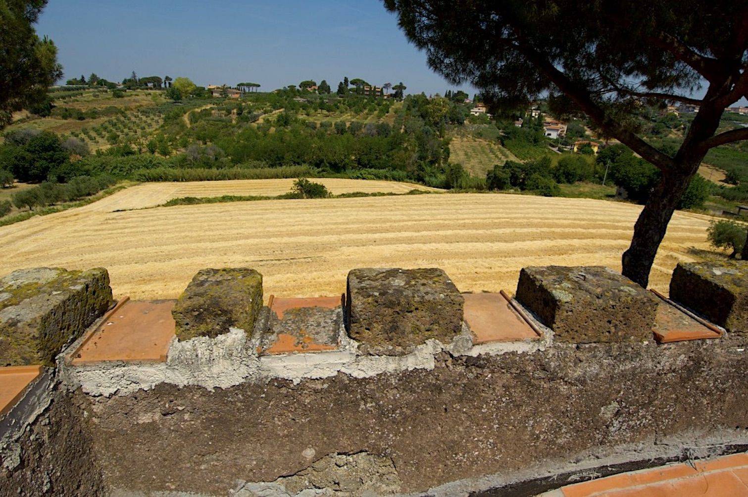 Terreno