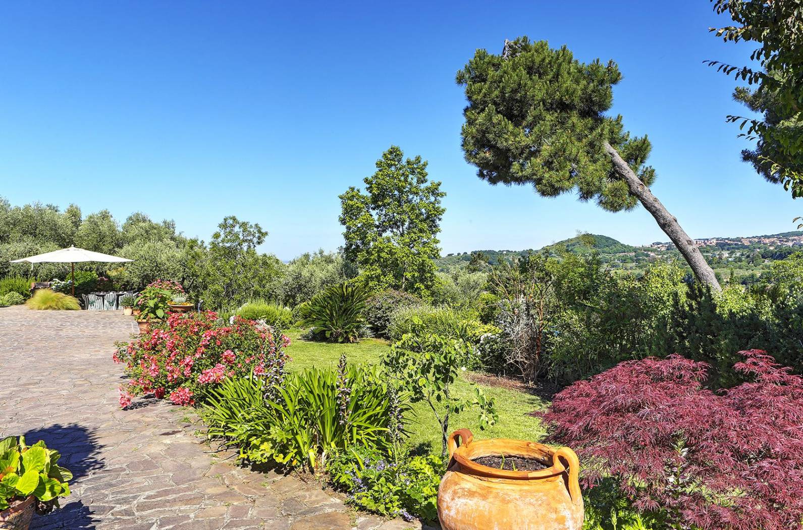giardino