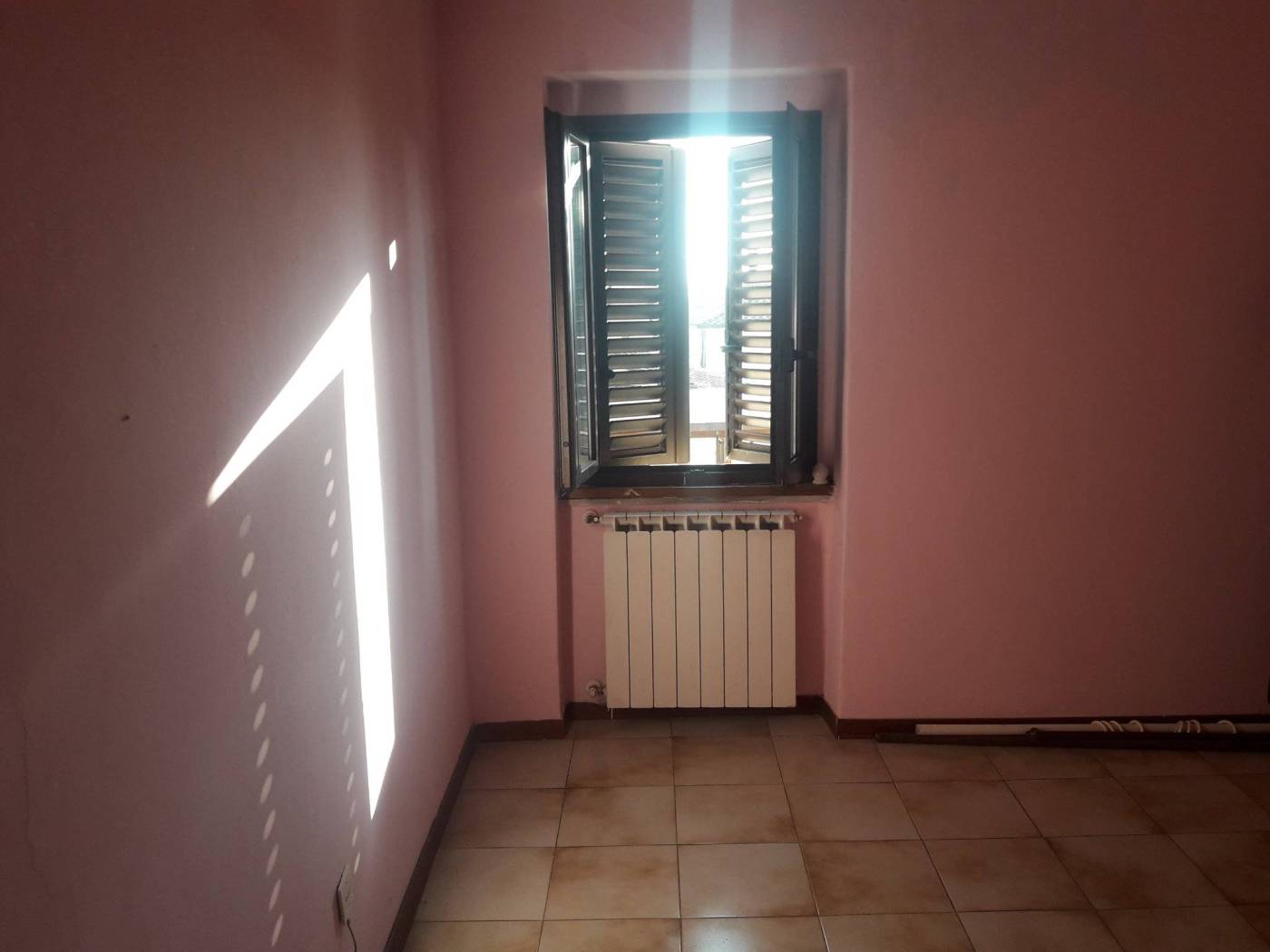 camera1