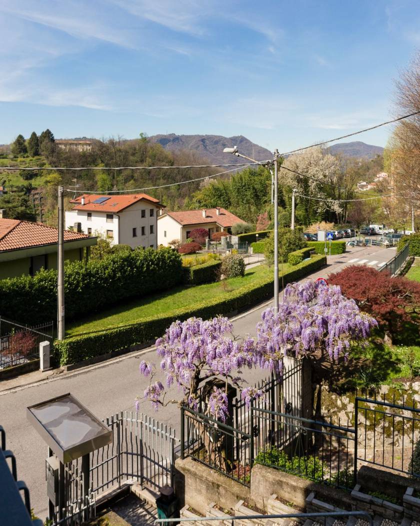Vista