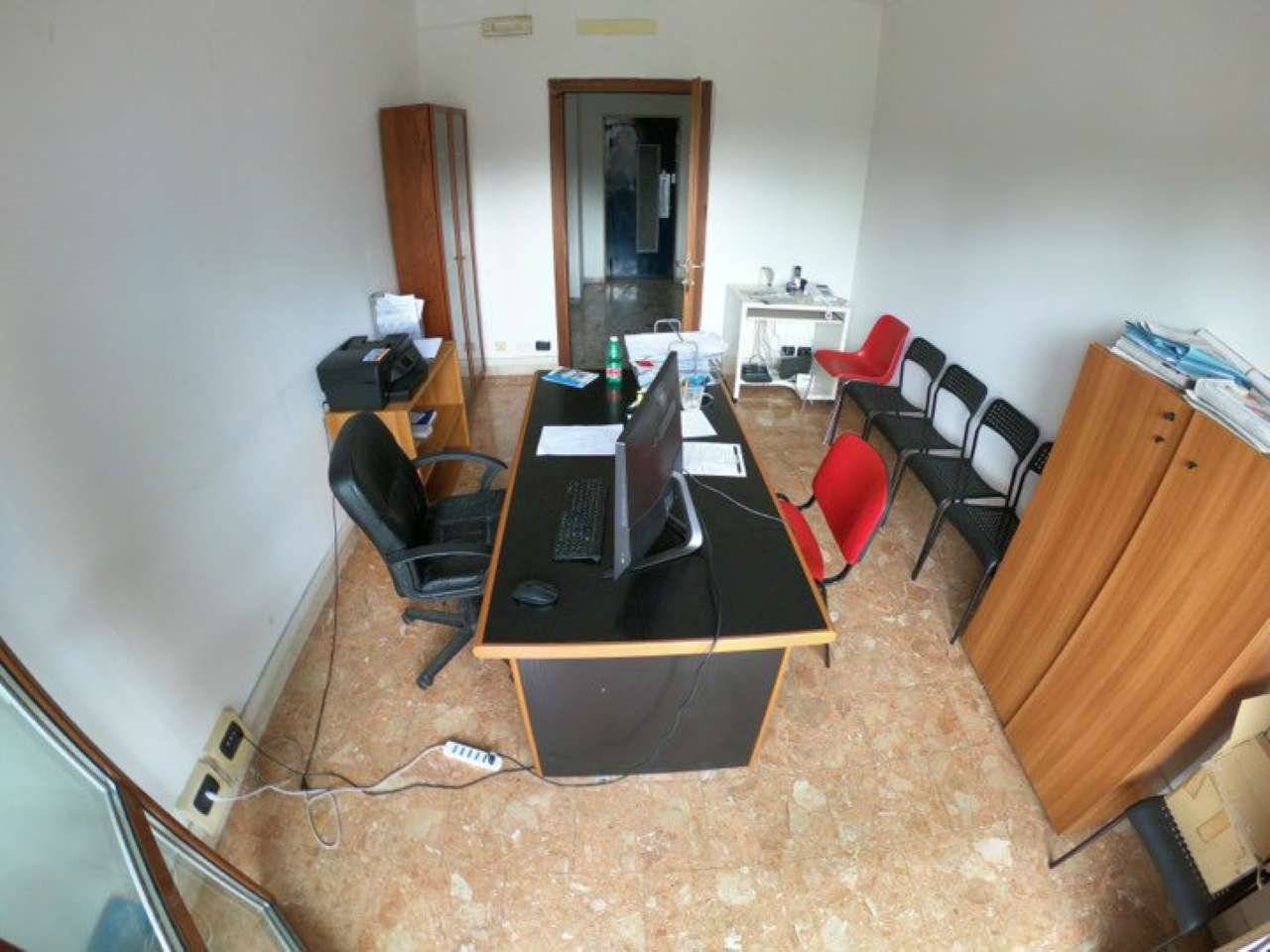 60081562 423116035141855 7794634110525243392 n