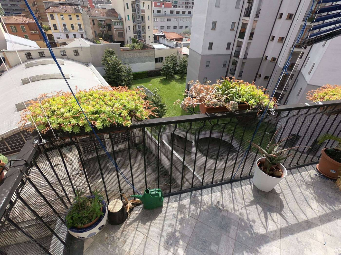 60704179 2416748335215393 6521980634376699904 n