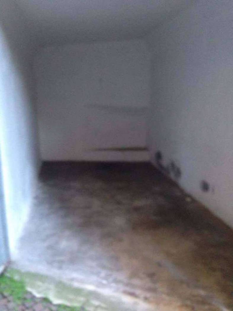 17199974 10208766131296816 377006082 o