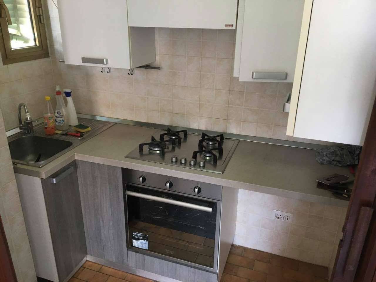 20132495 10209831082439929 257424601 o