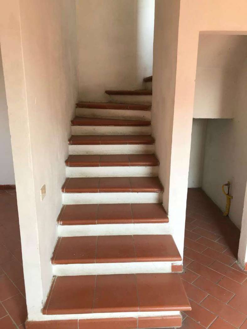 30074560 10211803370745904 3278793 o