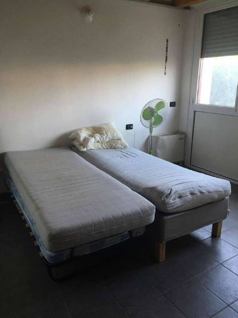 20132585 10209842336081263 316805827 o