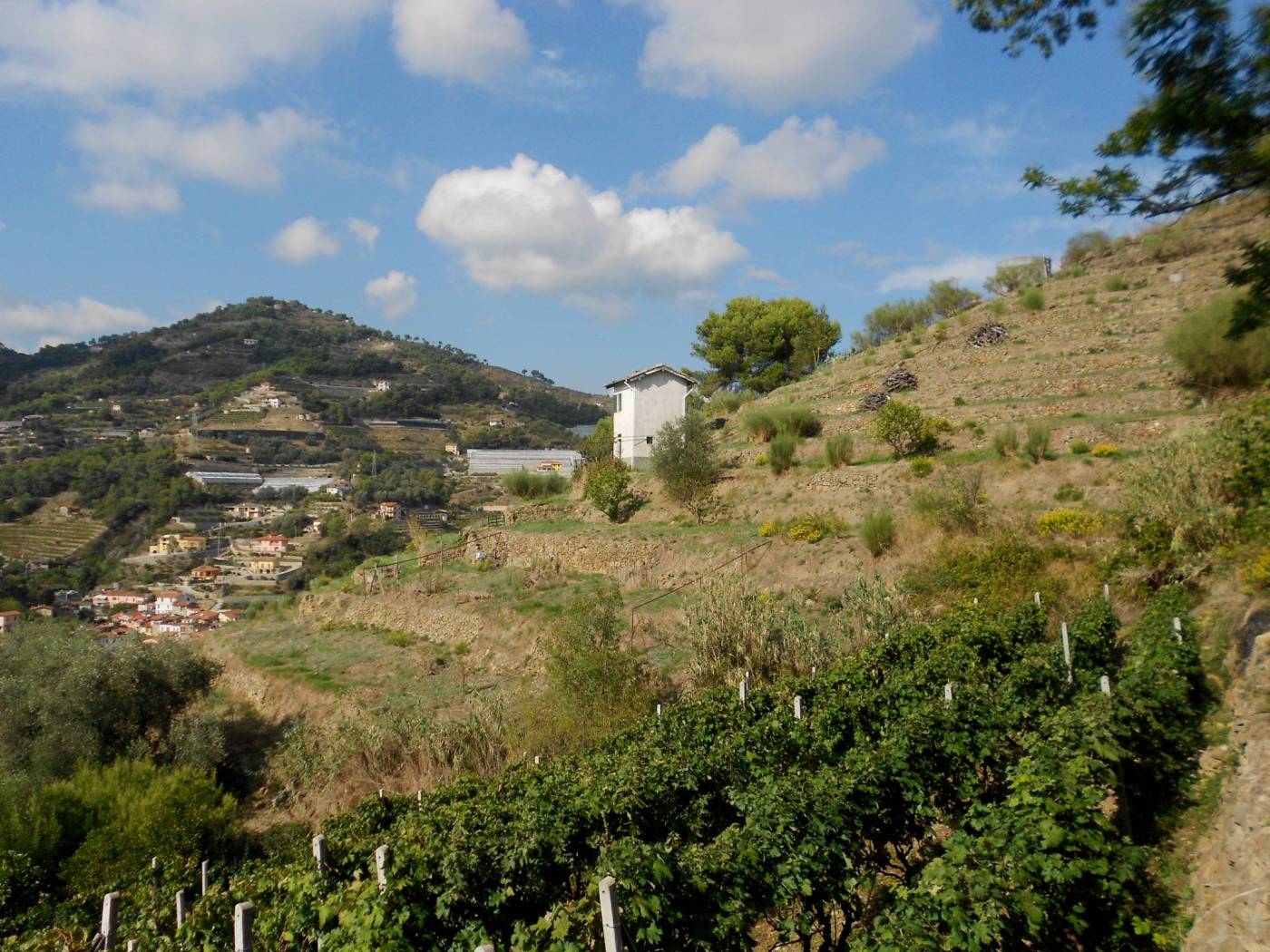 terreno + casa