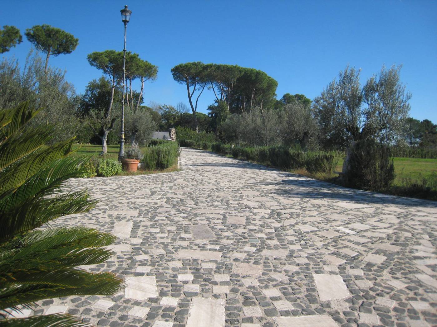 Viale