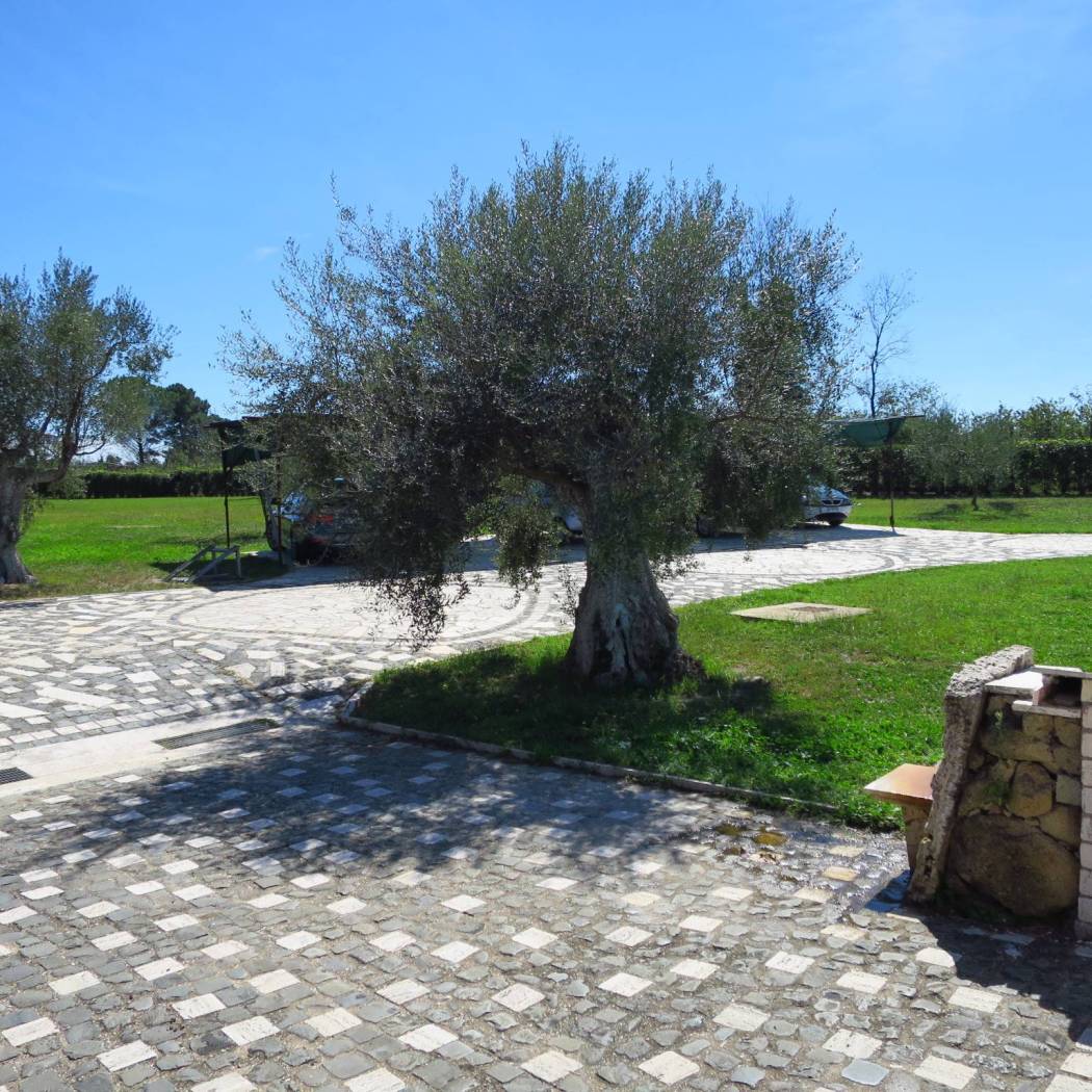 Viale
