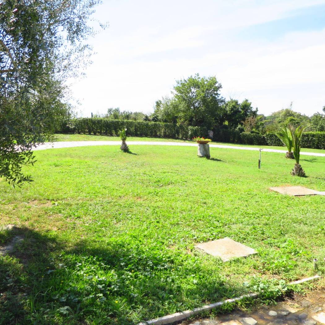 Giardino